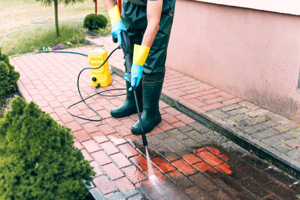 Best Patio and Deck Pressure Washing  in Kaaawa, HI